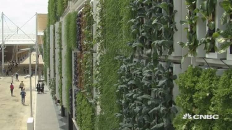 Is vertical farming the answer?
