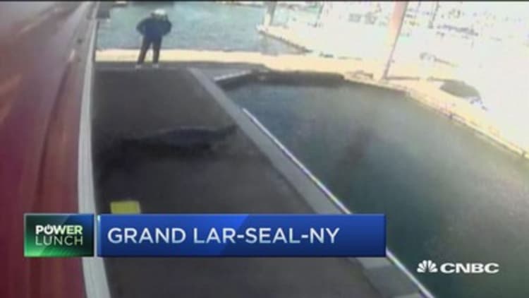 So a seal enters a fish market ...