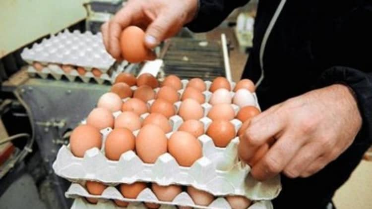Egg prices spike on short supply