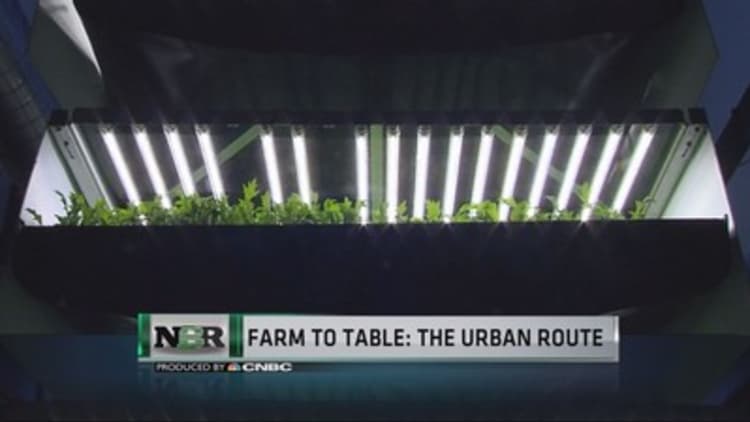 Farm to table: the urban route 