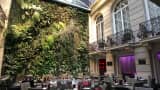 The vertical garden (Vegetal Wall) is shown in the courtyard of the Pershing Hall hotel in Paris.