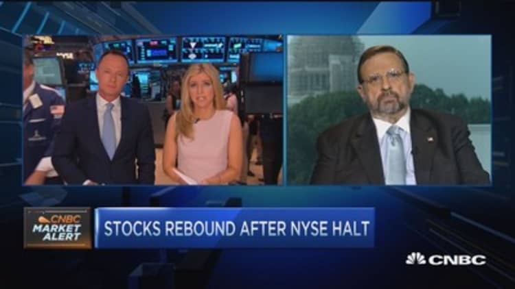 Harvey Pitt: NYSE could have handled halt better