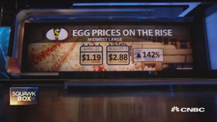 Egg prices on the rise