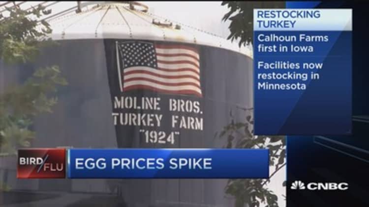Egg-stream prices for eggs