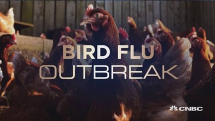 Bird flu: Fowl play