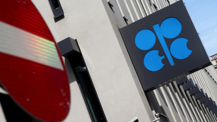 OPEC members ready to cooperate on cut: DJ 