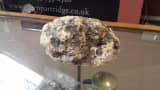 This lump of ambergris found on a beach in Anglesey will be going into the September auction of Adam Partridge Auctioneers & Valuers.