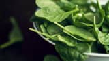 Dole recalls bags of spinach due to a possible salmonella risk.