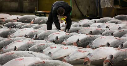 Inside the $40 billion tuna industry