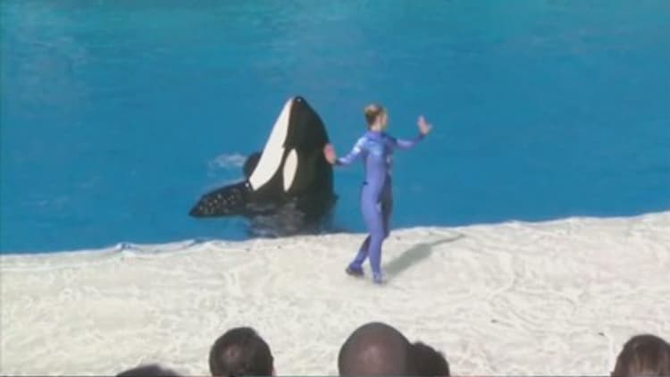 SeaWorld ends killer whale show