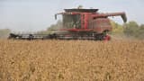Soybeans are harvested with a Case IH 7230 combine harvester in Princeton, Ill.