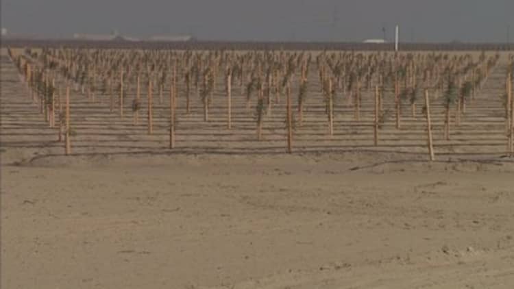 Saudi Arabia buying up farmland in US Southwest
