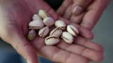 Pistachios have become a 'hot' item for thieves in California.