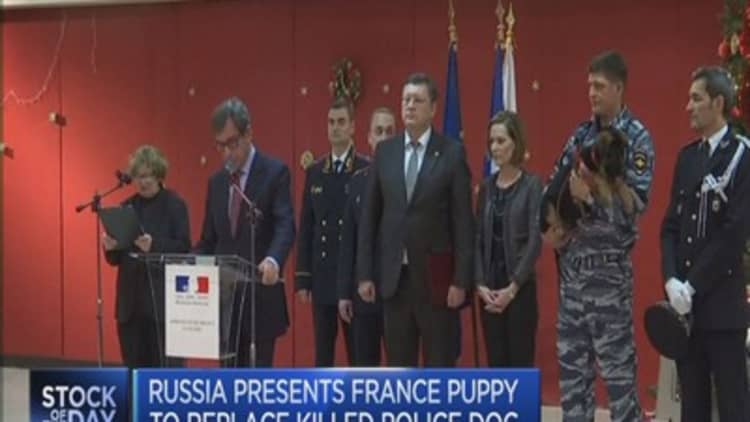 Puppy diplomacy between France and Russia