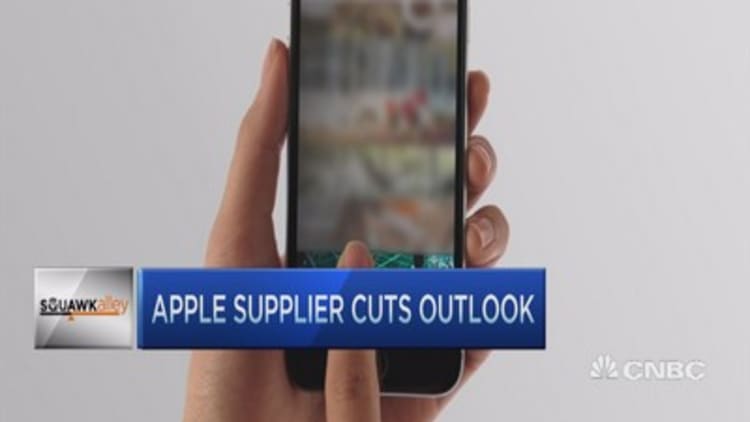 Apple supplier cuts outlook