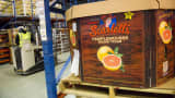 Wonderful Citrus Sweet Scarletts Texas red grapefruit sit in a box for shipment at the company's facility in Mission, Texas. The Wonderful Co. are throwing their marketing muscle at Citrus paradisi, aiming to replicate