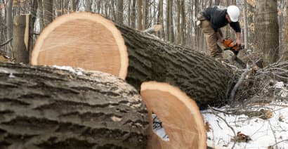 Potlatch to buy smaller rival Deltic Timber, boosting its lumber capacity