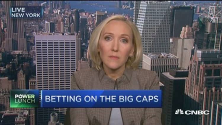 Large caps in the face of volatility 
