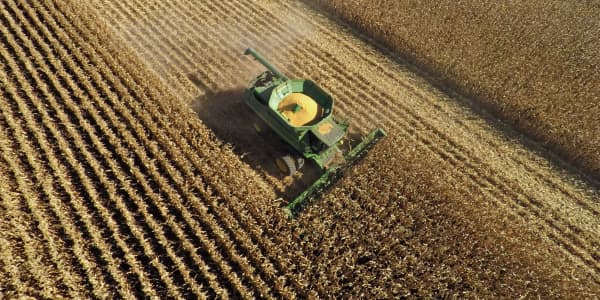 How the U.S. became a global corn superpower 