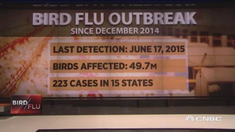 New strain of bird flu spreads across Indiana farms