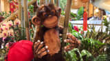 Year of the Monkey celebrations kick off at the Venetian in Las Vegas.