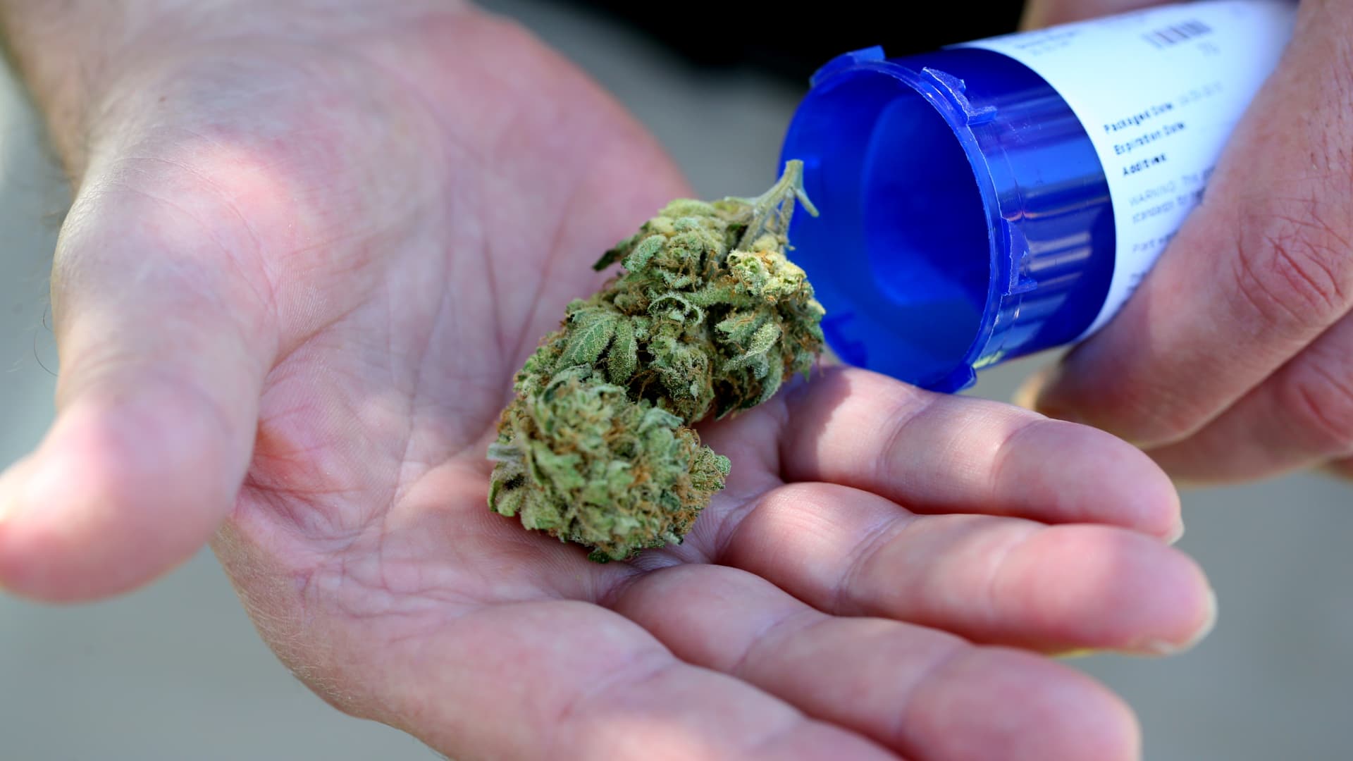 A man displays medical marijuana from a Massachusetts medical marijuana dispensary in Salem.
