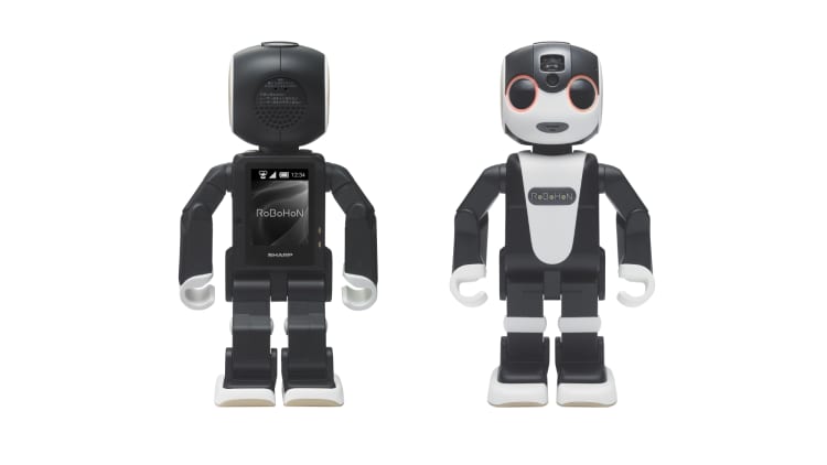 Need a travel companion? Now you can rent a robot