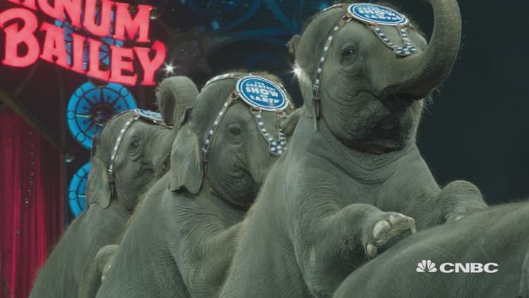 Elephants bow out of Big Top and aid in cancer research