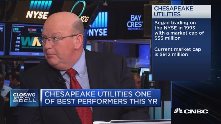 Chesapeake Util. CEO: Low nat gas prices a benefit
