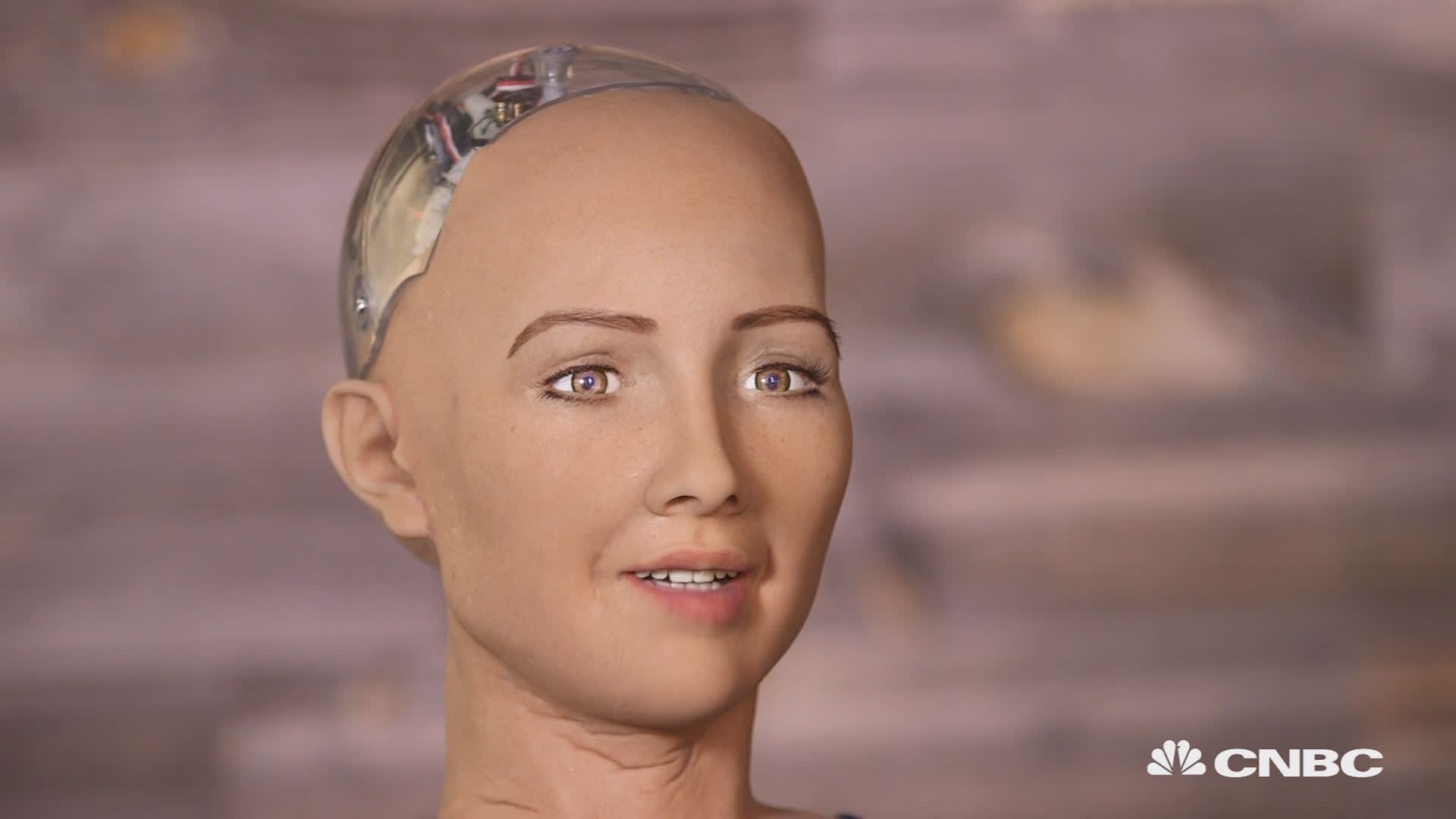 Tumor maligno Superar estafa This hot robot says she wants to destroy humans