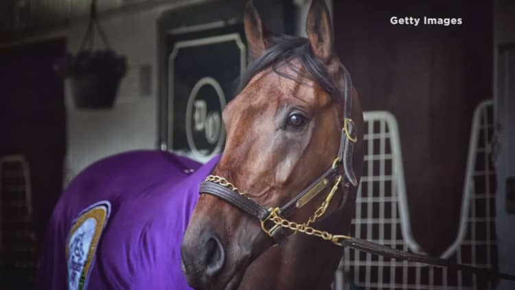 Nyquist named the favorite to win Kentucky Derby