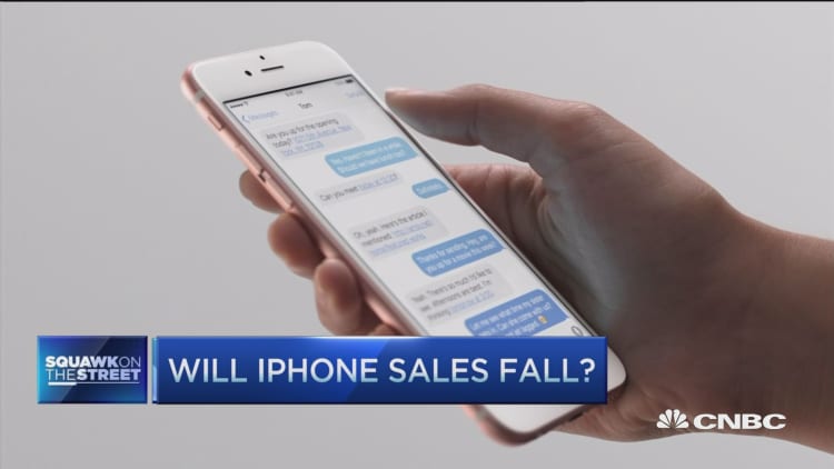 Will iPhone sales fall?
