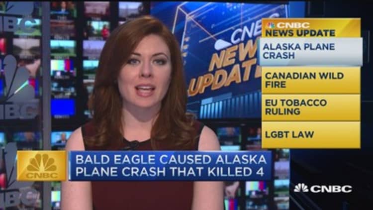 CNBC update: Bald eagle caused plane crash that kills 4