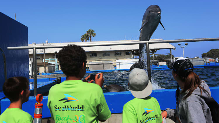 Seaworld jumps on report it's exploring a sale
