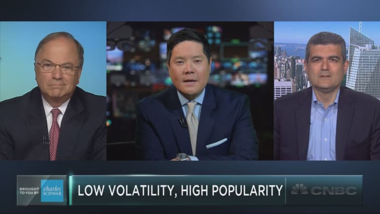 A close look at the hot low-volatility trend