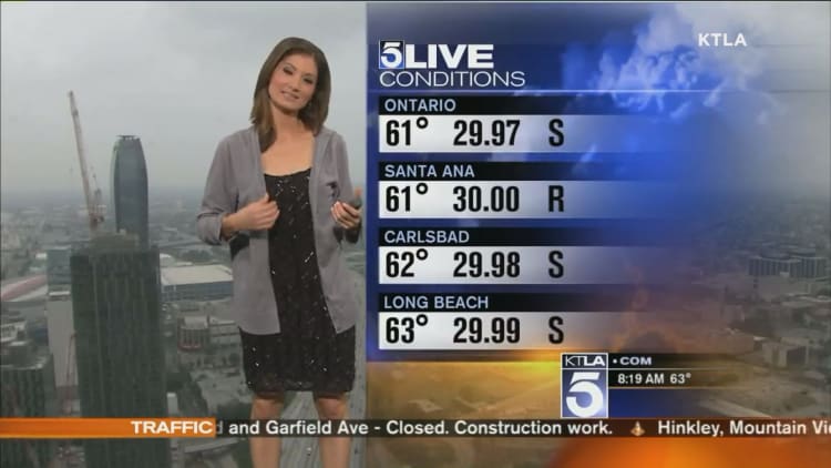 Social media users bash weather anchor for dress