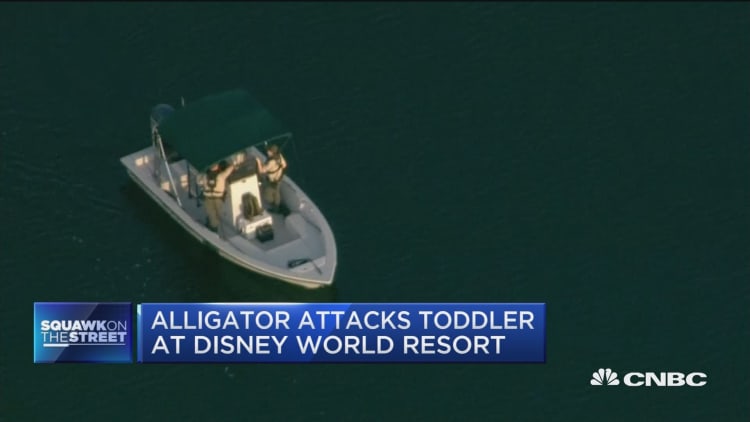 Alligator attacks toddler