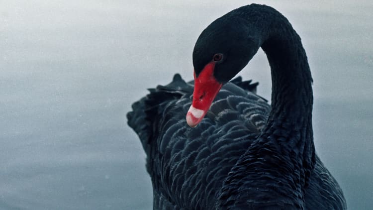 We've never seen this black swan event for markets: Calacanis