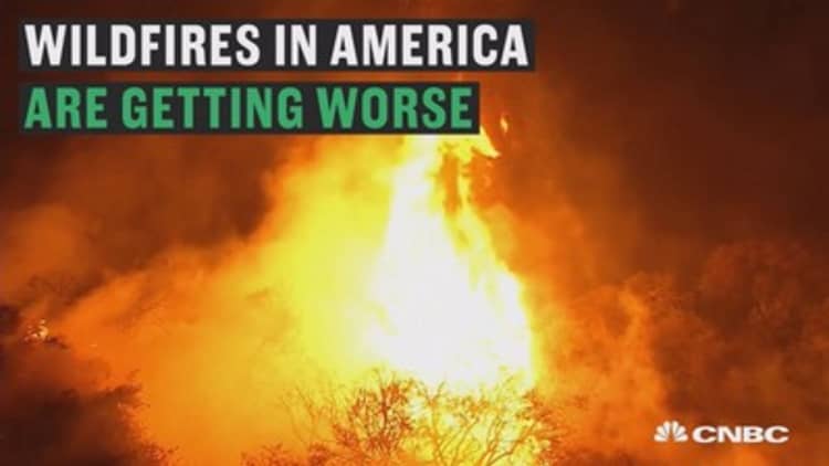 What the wildfires are costing us