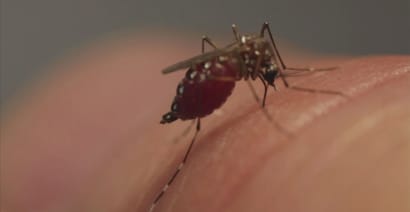 Zika may be spreading in Miami Beach