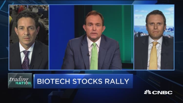 Biotech stocks rally