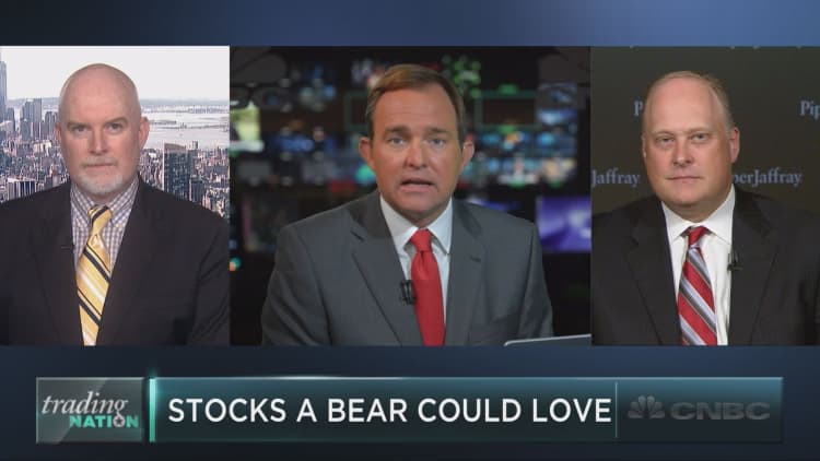 Seven stocks that even a bear could love