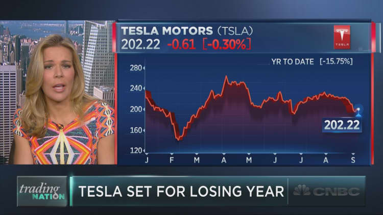 Tesla set to log its first down year