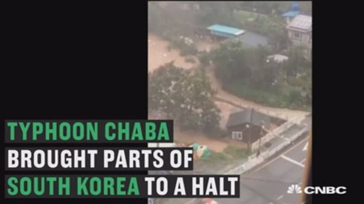 South Korea slammed by Typhoon Chaba