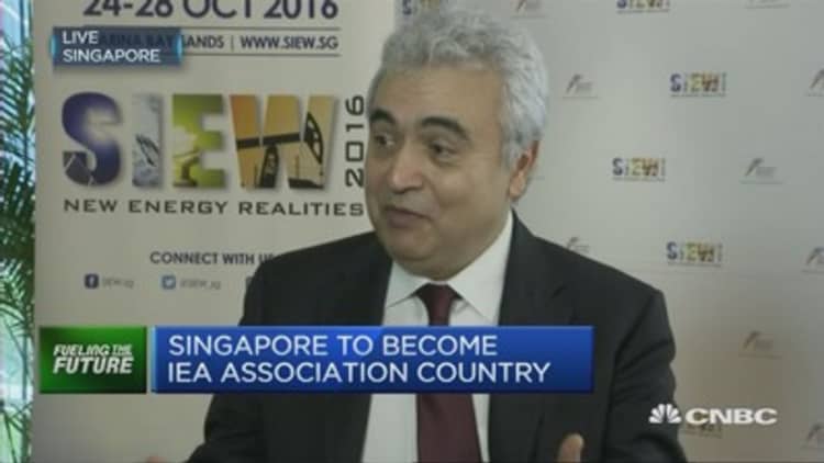 Share of renewables in energy mix is increasing: IEA