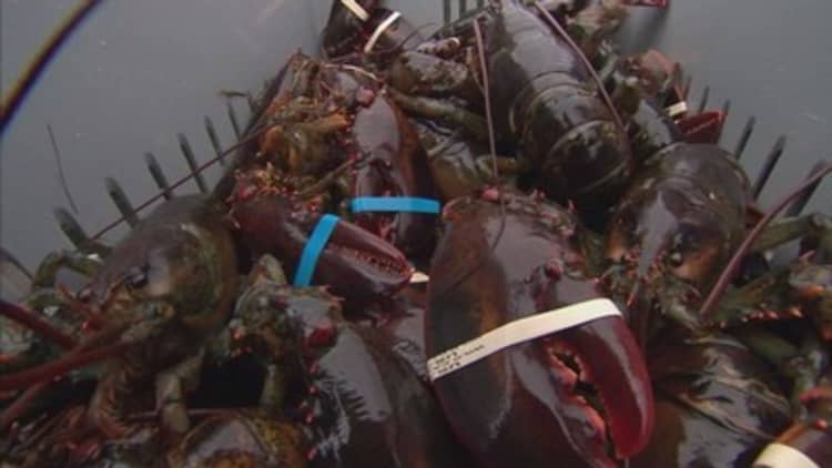 America's lobster craze sends prices soaring
