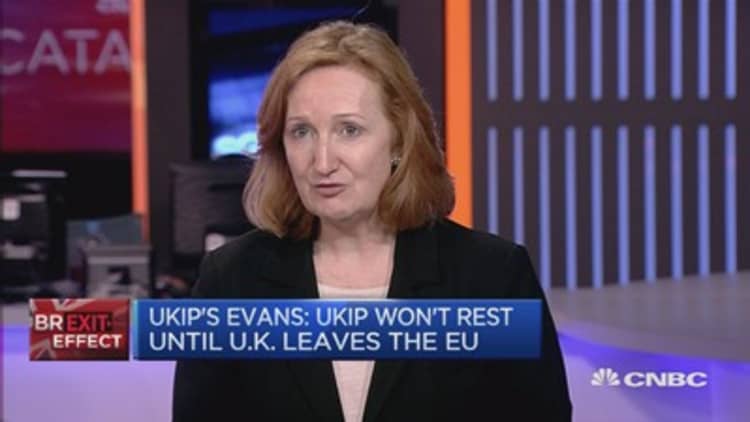UKIP won’t rest until UK leaves the EU: Evans