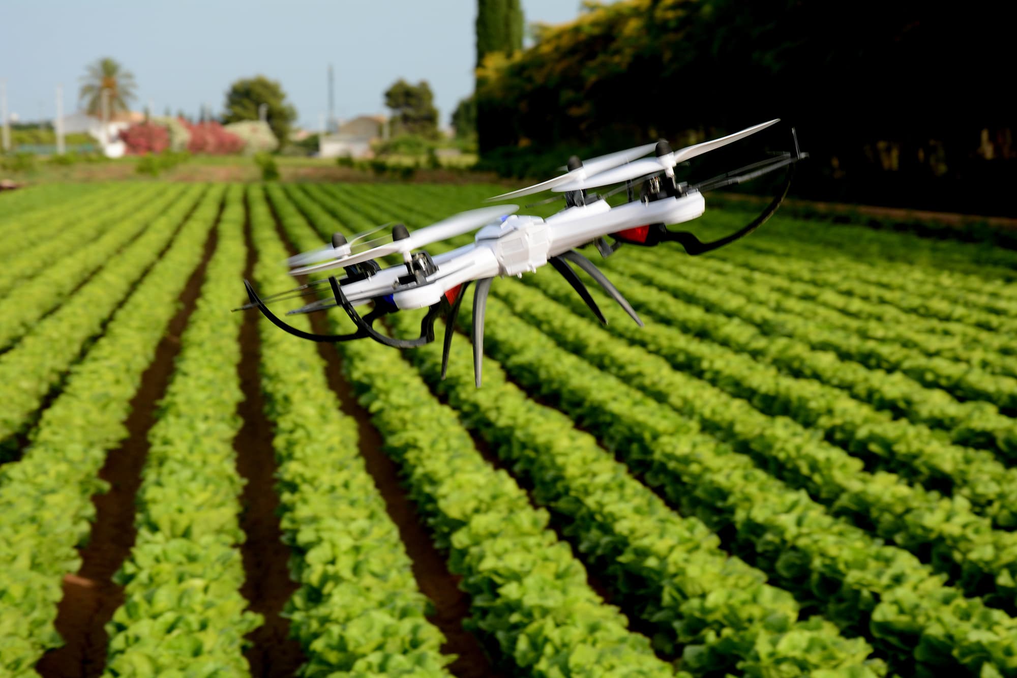 Drones will transform the way food is grown year