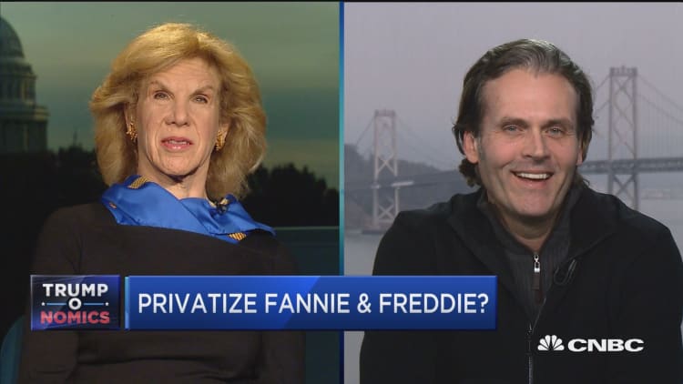 Privatize Fannie & Freddie?