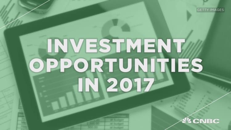Investment opportunities in 2017